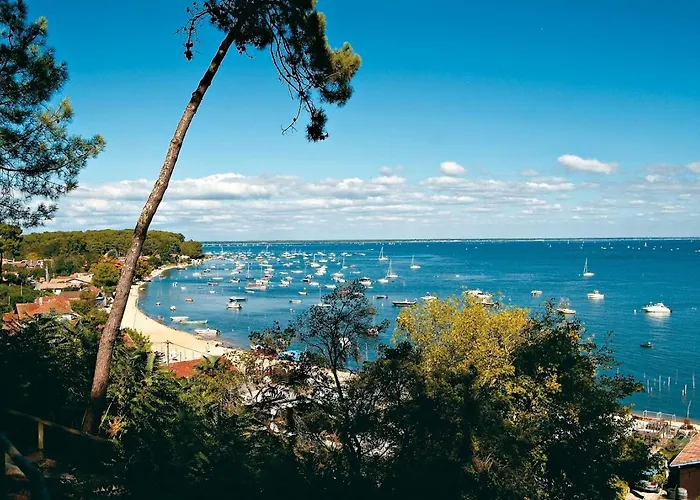 Mon Ptit Coin Au Ferret Lège-Cap-Ferret